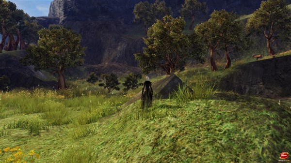 激战2职业技能介绍 各职业技能加点及配装