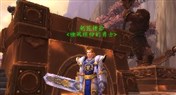 人类板甲男幻化：为了联盟，圣骑士的正义！