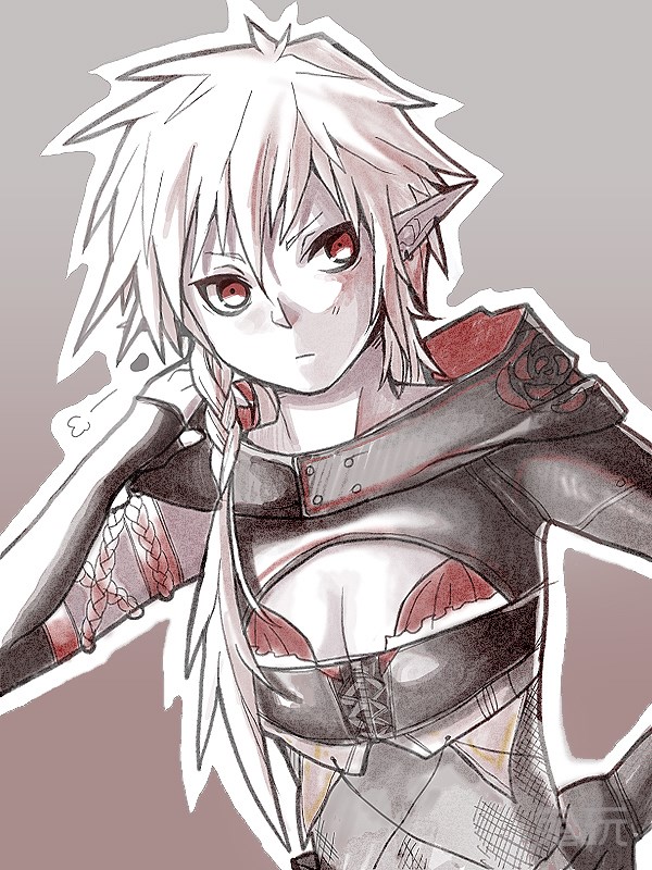 dnf同人美图欣赏 狂拽炫酷吊炸天的狂虎帝(12)